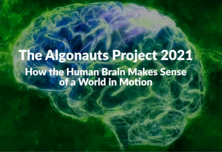 algonauts2021